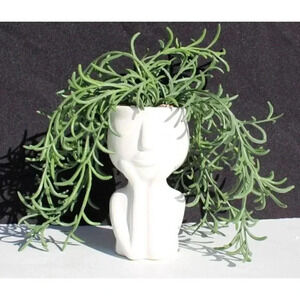New White Artificial Plant SUCCULENT Hair Gowing Head Face Vase Retro Room Decor